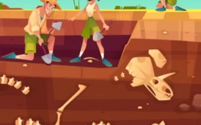 How to Become an Archaeologist in India After 12th
