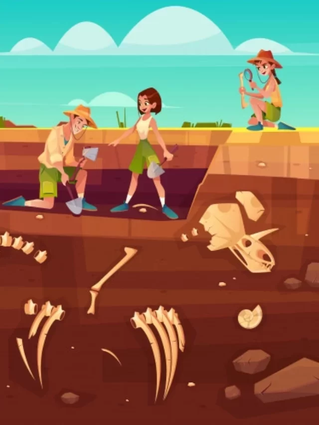 How to Become an Archaeologist in India After 12th